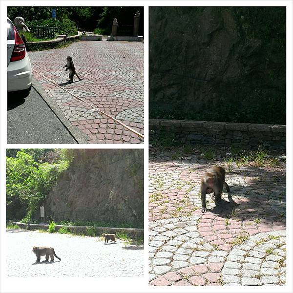 PhotoGrid_1409580108871