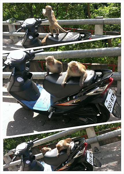 PhotoGrid_1409580037012