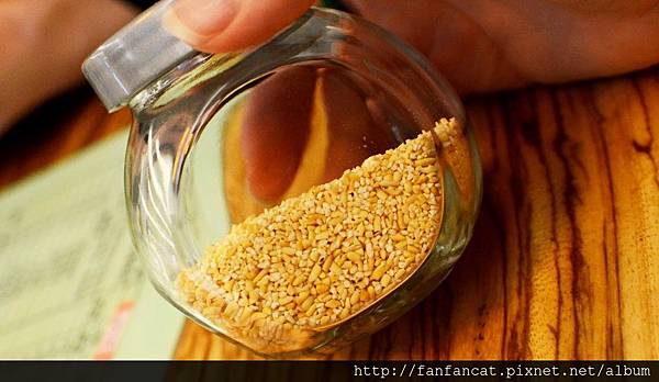 529293_10151551214881602_22570442_n