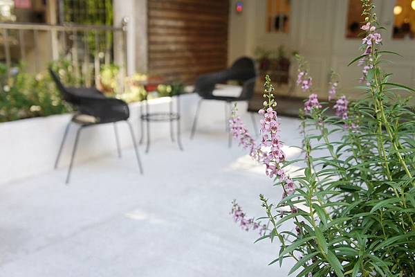 DSC01234.JPG DSC01234.JPG