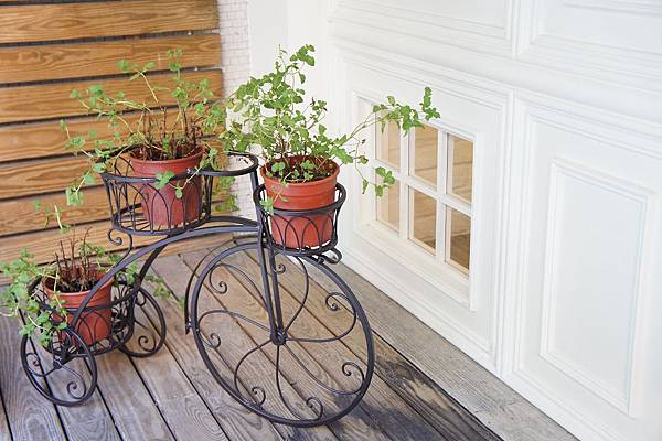 DSC01236.JPG DSC01236.JPG