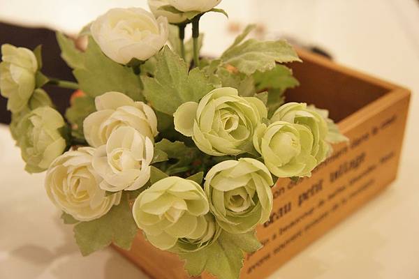 DSC01272.JPG DSC01272.JPG