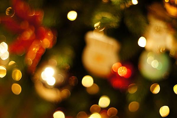 DSC02377.JPG DSC02377.JPG