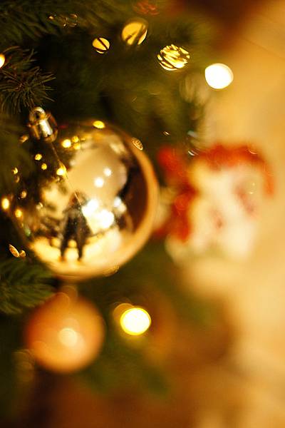 DSC02418.JPG DSC02418.JPG