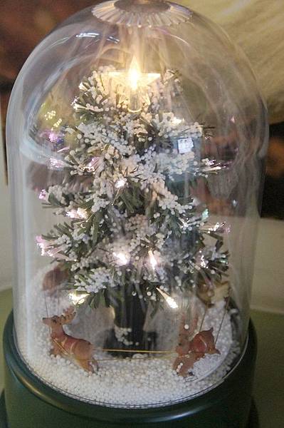 DSC06708.JPG DSC06708.JPG