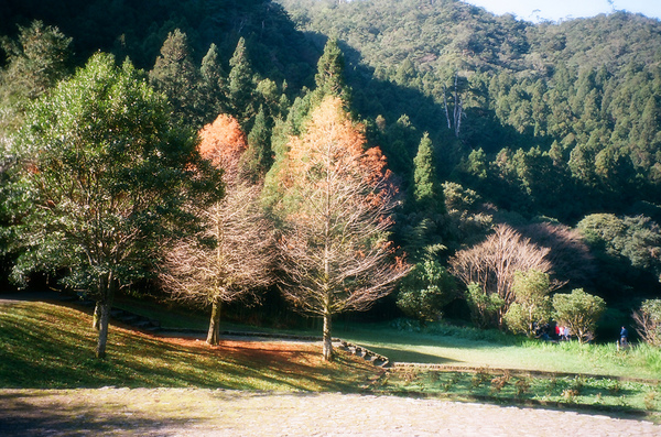 點我,看詳細窩客島の日記!