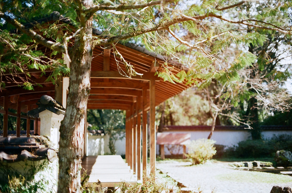 點我,看詳細窩客島の日記!