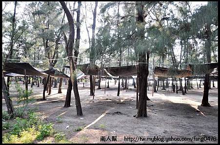 秋茂園-08.jpg 秋茂園-08.jpg