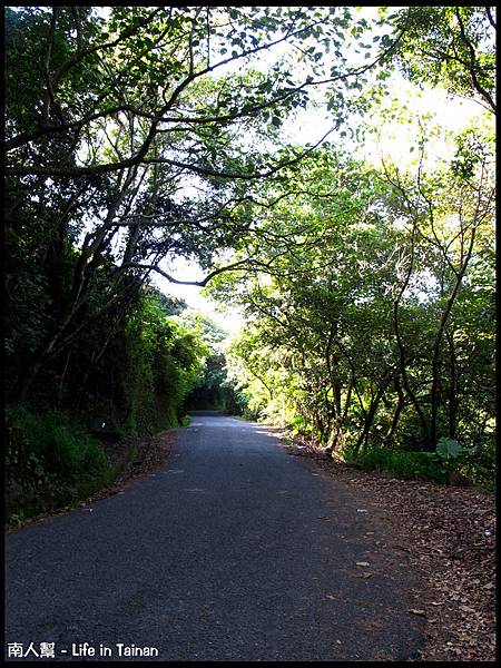 百果山上-01 百果山上-01