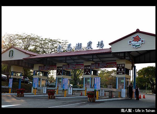 走馬瀨農場-20 走馬瀨農場-20