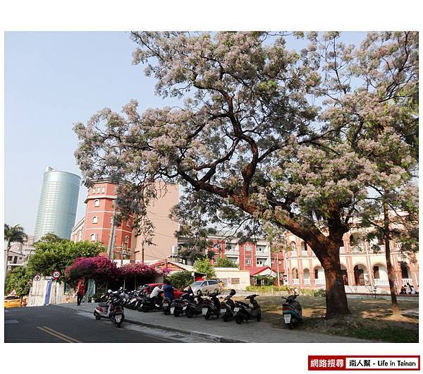 苦楝花(原臺南縣知事官邸) 苦楝花(原臺南縣知事官邸)