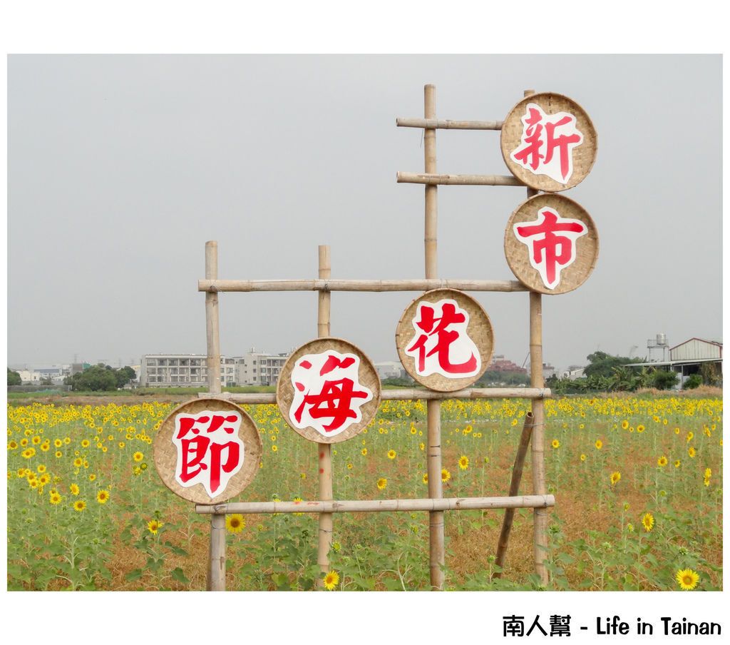 2014新市花海節 2014新市花海節