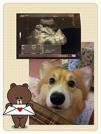 2012-09-19-18-14-24_deco