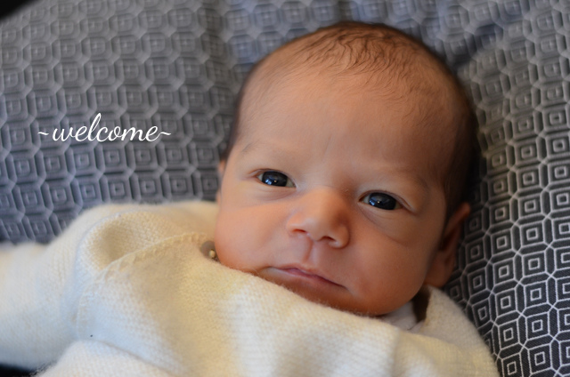 felian-small felian-small