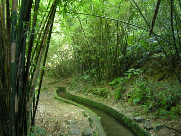 DSCN7765.JPG DSCN7765.JPG