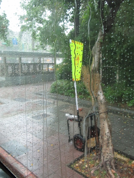 城市的雨