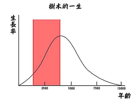 樹木生長曲線