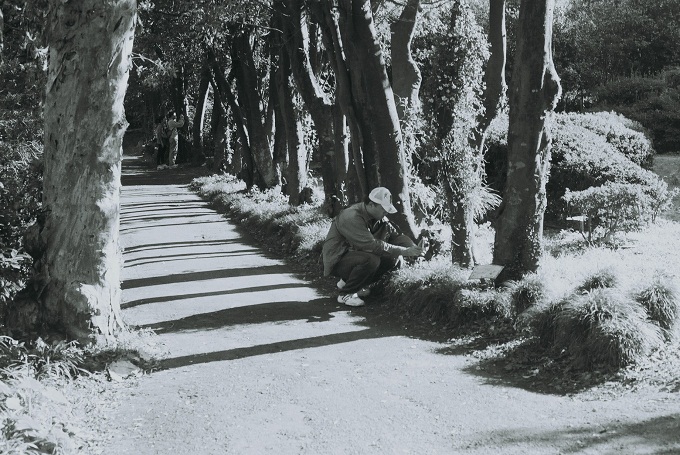 9994174503_c78d5b98f7_o