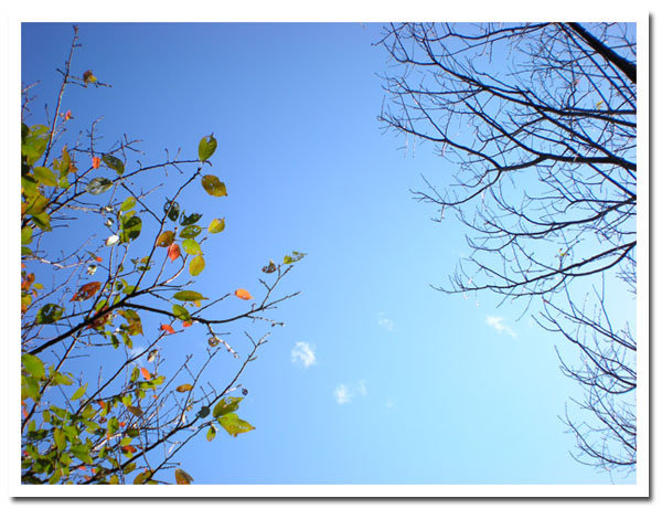 未標題-2.jpg 未標題-2.jpg