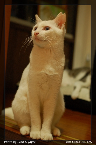 DSC_0019.jpg DSC_0019.jpg