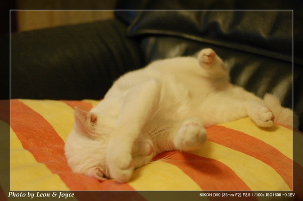 DSC_0002.jpg DSC_0002.jpg