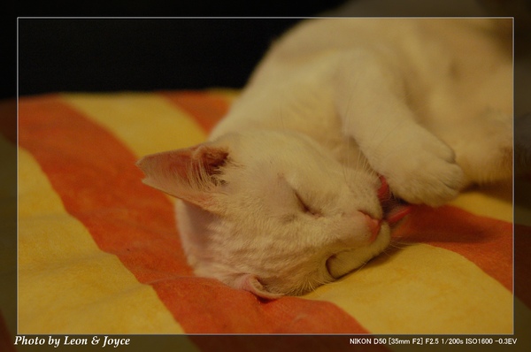 DSC_0005.jpg DSC_0005.jpg