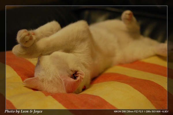 DSC_0007.jpg DSC_0007.jpg