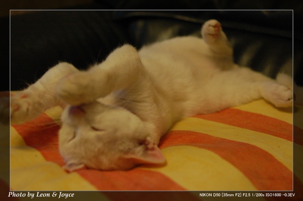 DSC_0009.jpg DSC_0009.jpg