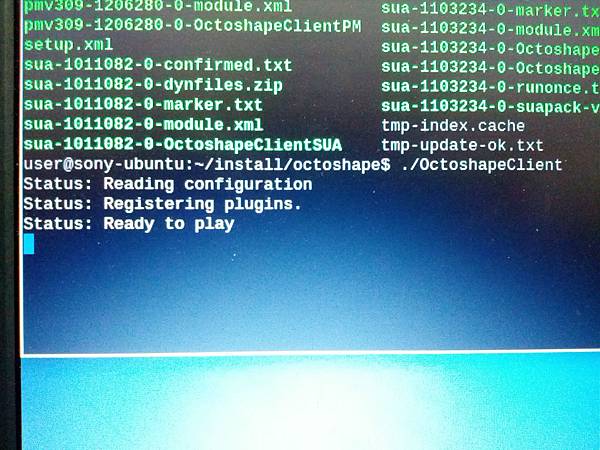 IMG_20130123_223951 IMG_20130123_223951