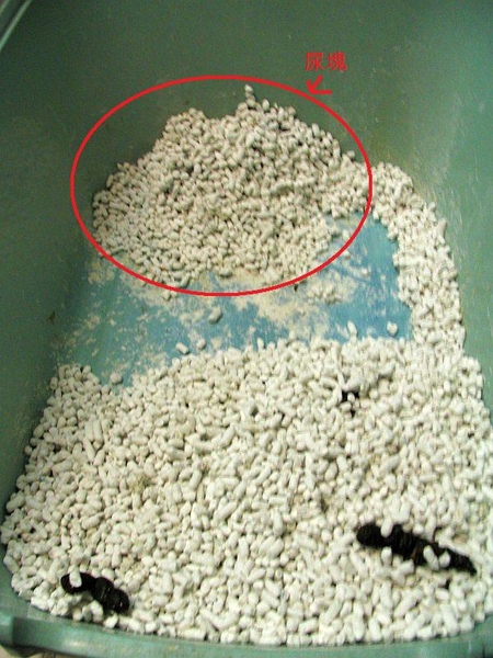 IMG_1044.jpg IMG_1044.jpg