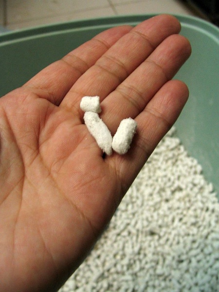 IMG_1052.jpg IMG_1052.jpg