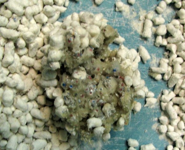 IMG_1050.jpg IMG_1050.jpg