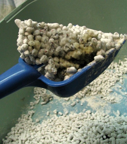 IMG_1048.jpg IMG_1048.jpg