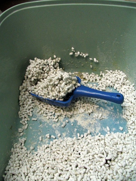 IMG_1045.jpg IMG_1045.jpg