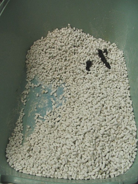 IMG_1041.jpg IMG_1041.jpg