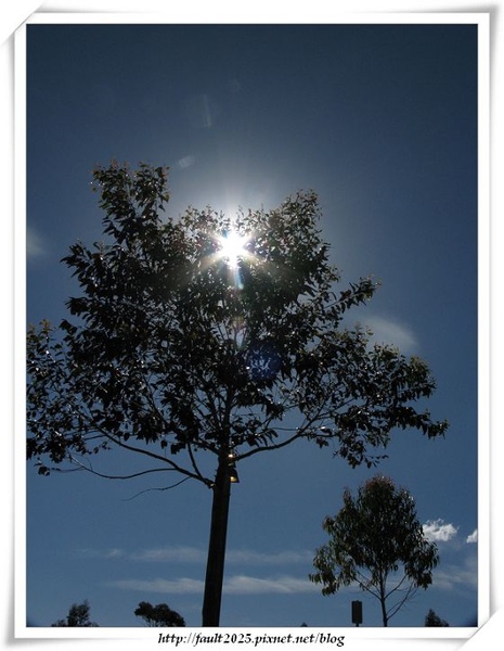 IMG_0210.jpg IMG_0210.jpg