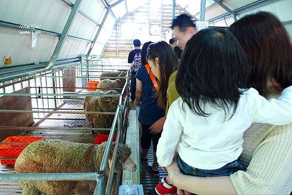 P1180943.JPG P1180943.JPG