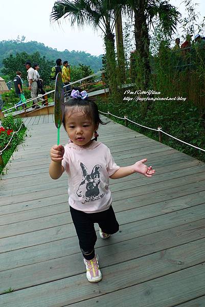 P1230512.JPG P1230512.JPG