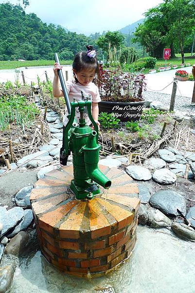 P1230649.JPG P1230649.JPG