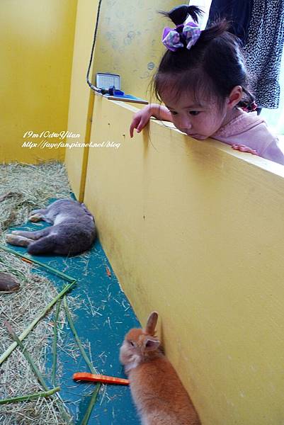 P1230681.JPG P1230681.JPG