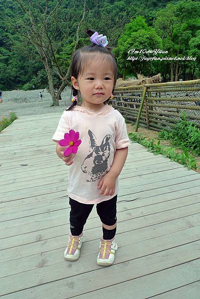 P1230710.JPG P1230710.JPG