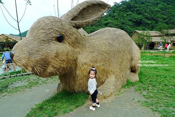 P1230792.JPG P1230792.JPG