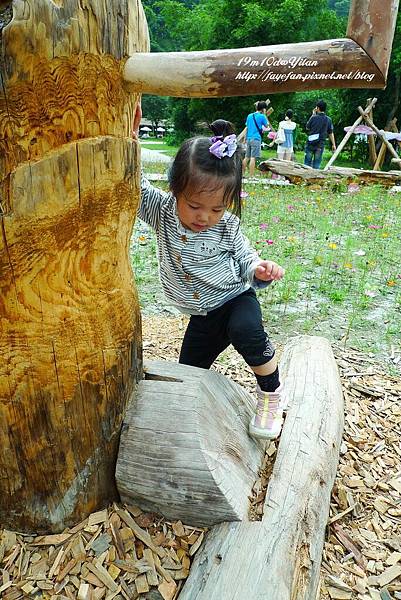 P1230829.JPG P1230829.JPG