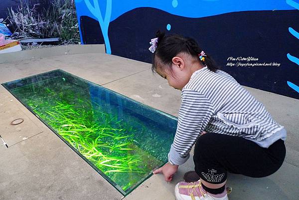 P1230930.JPG P1230930.JPG