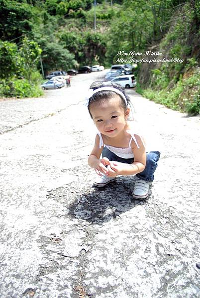 IMGP5075.JPG IMGP5075.JPG