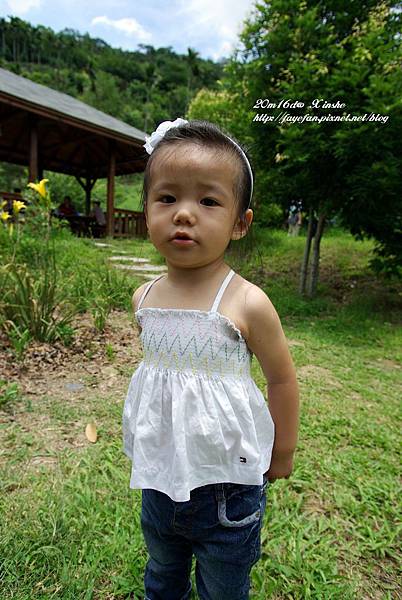 IMGP5088.JPG IMGP5088.JPG