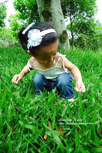 P1250390.JPG P1250390.JPG