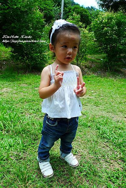 P1250418.JPG P1250418.JPG