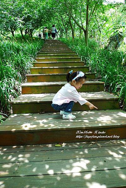 P1250461.JPG P1250461.JPG