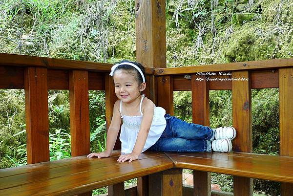 P1250498.JPG P1250498.JPG